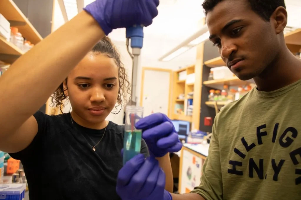 Addressing the Urgent Need for Black Professionals in STEM
